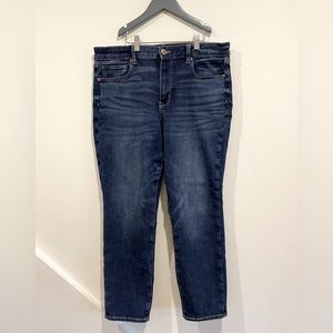 AMERICAN EAGLE Hi-rise Skinny